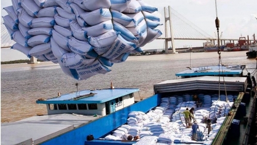 Philippines dự kiến nhập đến 4,1 triệu tấn gạo, thời cơ xuất khẩu gạo Việt Nam