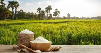 Giá gạo xuất khẩu chấm dứt chuỗi đà giảm