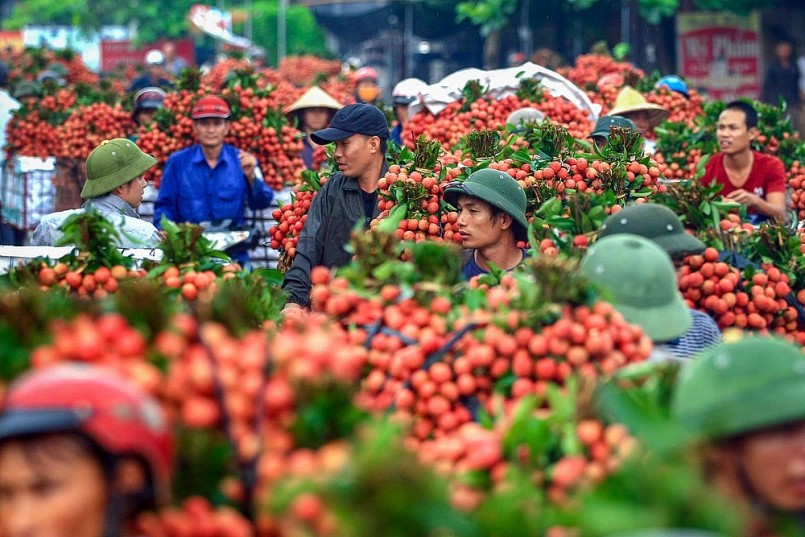 80% sản lượng nông sản xuất khẩu chưa xây dựng được thương hiệuẢnh: Anh Lam