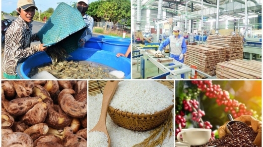 Nông sản đang là “bức tranh sáng” trong hoạt động xuất khẩu hàng hóa