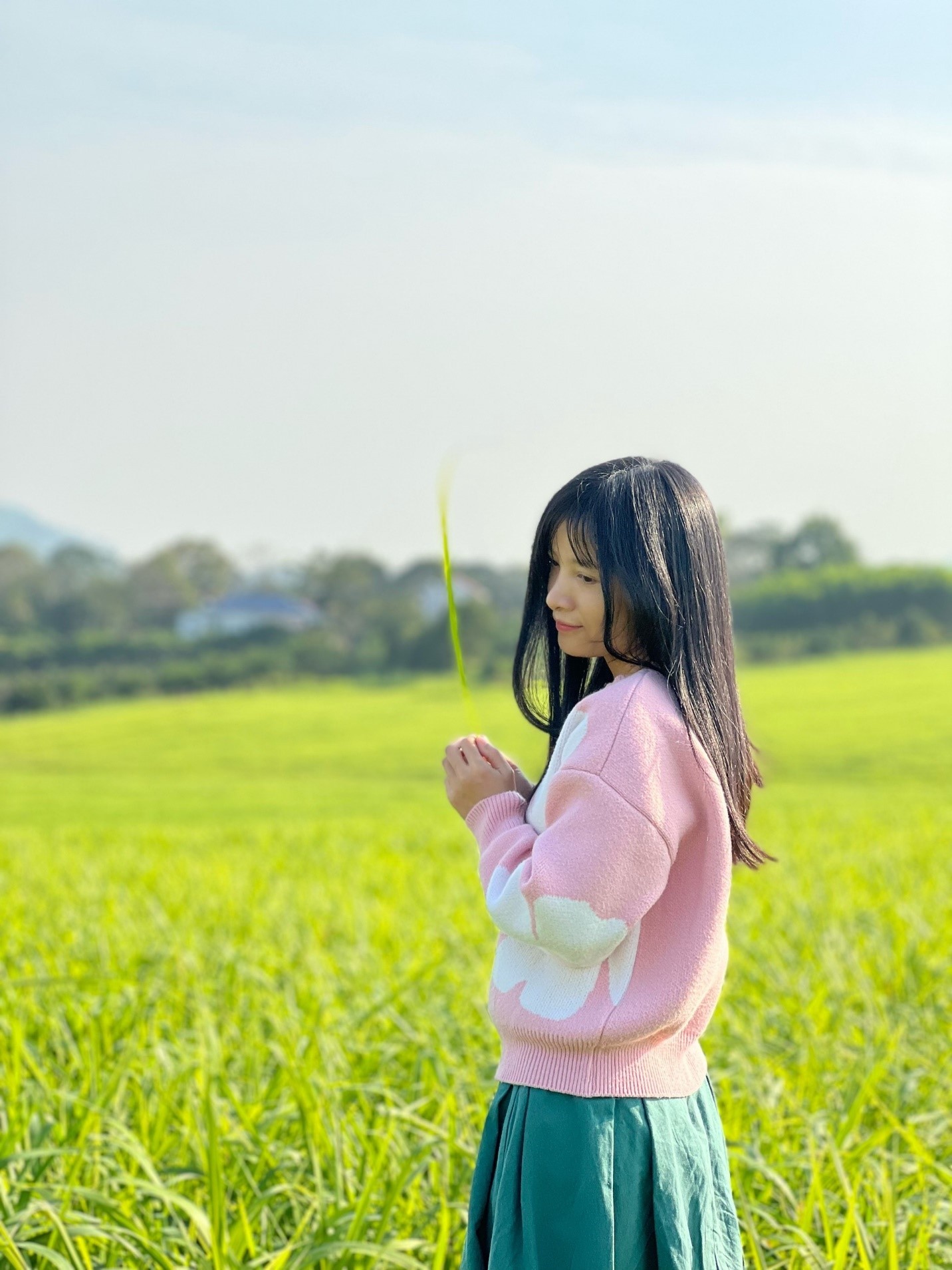 Đồng cỏ rộng hàng ngàn ha mãn nhãn ở Nghệ An “đốn tim” du khách