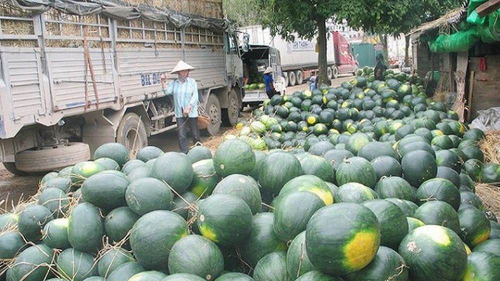 Cơ hội rộng mở cho nông sản Việt gia tăng thị phần tại Trung Quốc