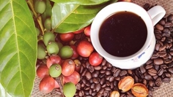 Giá nông sản hôm nay 25/3: Cà phê Tiếp đà tăng, hồ tiêu điều chỉnh trái chiều
