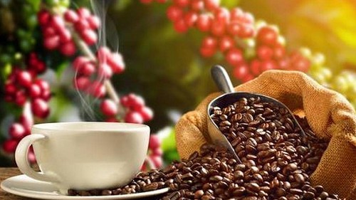 Giá nông sản hôm nay 28/3: Cà phê duy trì đà tăng, hồ tiêu chưa có điều chỉnh