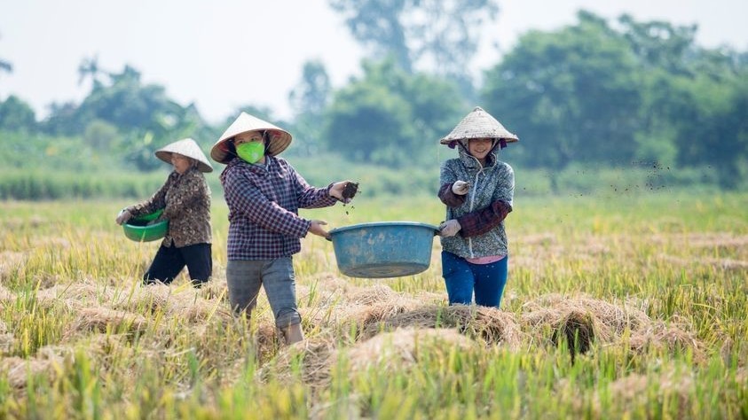 Thử nghiệm mô hình kinh doanh tuần hoàn trong nông nghiệp tại Việt Nam