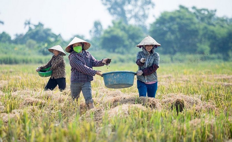 Thử nghiệm mô hình kinh doanh tuần hoàn trong nông nghiệp tại Việt Nam.