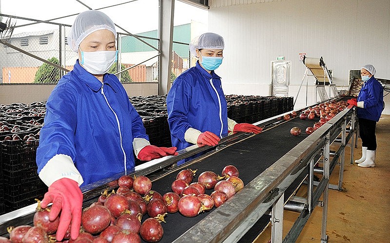 Trung Quốc tiếp tục là thị trường tiềm năng và còn nhiều cơ hội rộng mở cho nông sản Việt