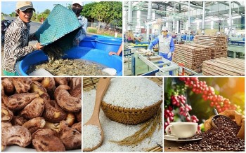 Xuất khẩu nông lâm thủy sản quý I/2024: Cà phê, gạo, rau quả tăng trưởng ấn tượng
