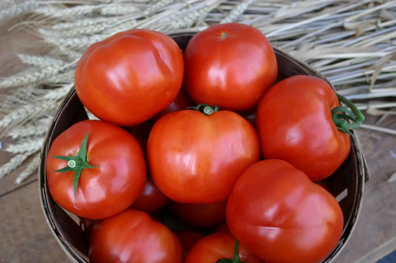 Lợi ích của cà chua đối với người bệnh tiểu đường