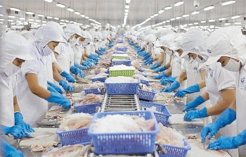3 thị trường nhập khẩu lớn nhất thủy sản Việt Nam trong quý I/2024