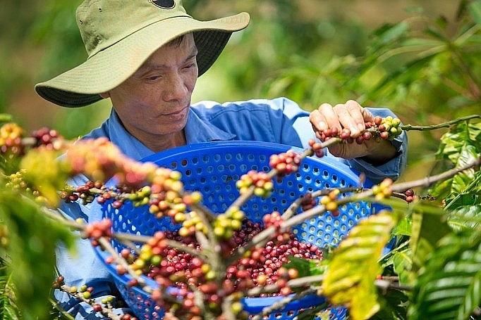  nhiều ý kiến, hiến kế để phát triển bền vững ngành hàng cà phê Việt Nam