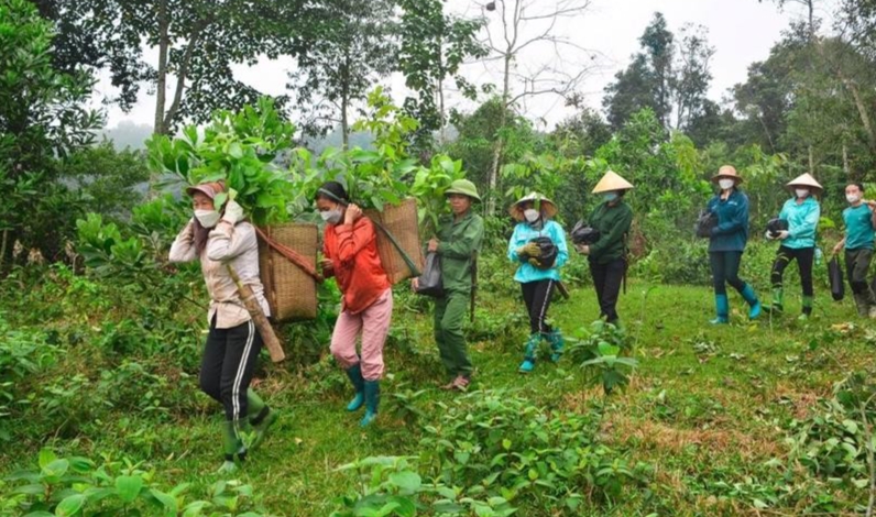 Phát triển giá trị đa dụng của hệ sinh thái rừng Việt Nam.