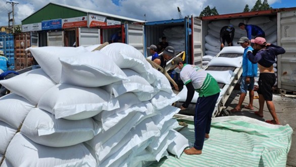 Indonesia tiếp tục mở thầu 300.000 tấn gạo, cơ hội cho gạo Việt bứt phá