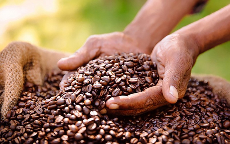 Lo ngại thiếu nguồn cung, giá cà phê xuất khẩu tăng vọt