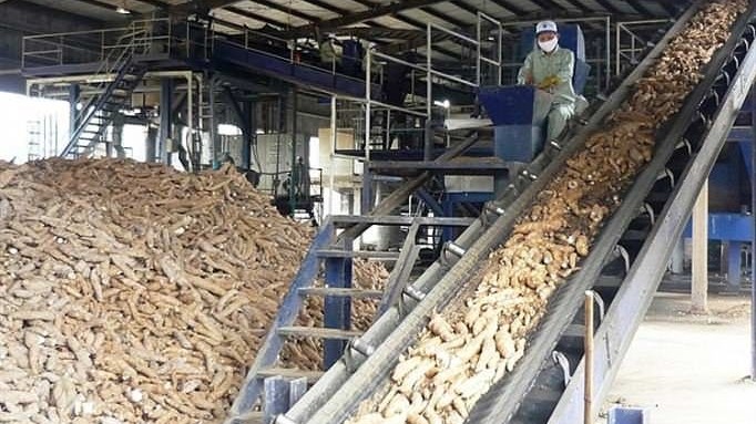 Thanh Hoá: Sắp có thêm Nhà máy chế biến gỗ và sắn lát 100 tỷ đồng