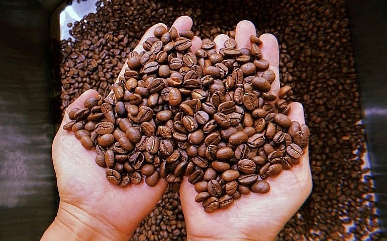 Tuyển chọn cà phê Arabica ngon nhất Việt Nam giữa lúc giá cà phê “nóng bỏng tay”