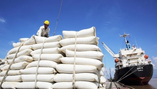 Nhận diện những yếu tố tác động đến hoạt động xuất khẩu gạo thời gian tới