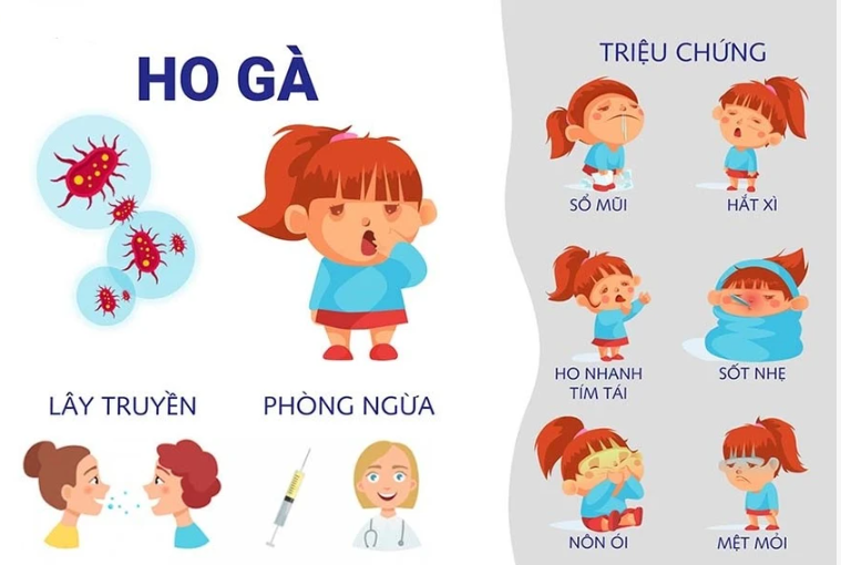 Số ca mắc ho gà tăng gần 8 lần