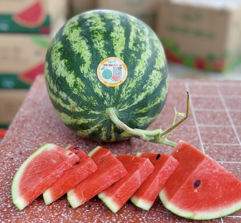 Chuyện gì sẽ xảy ra khi ăn dưa hấu thường xuyên?