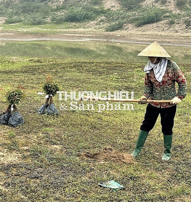 Minh Nông (Việt Trì – Phú Thọ): Người dân không được trồng cây trên bãi bồi do Nhà nước quản lý