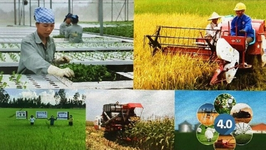 Thúc đẩy "tri thức hoá nông dân", phát triển kinh tế nông thôn bền vững