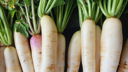 Củ cải trắng - Siêu thực phẩm giàu vitamin C