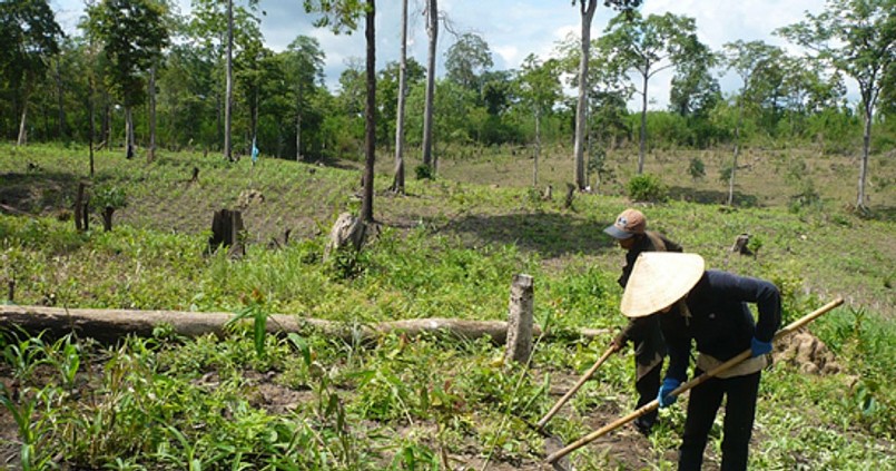 Phó Thủ tướng Chính phủ Lê Minh Khái yêu cầu xử lý dứt điểm tình trạng tranh chấp, lấn chiếm đất đai tại các công ty nông, lâm nghiệp.