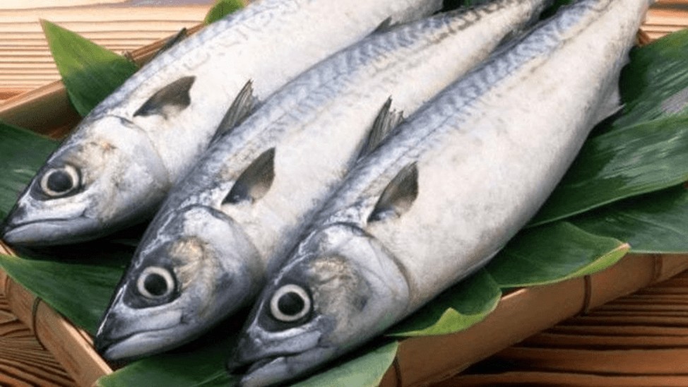 8 loại hải nên sử dụng trong thực đơn ăn uống hàng ngày