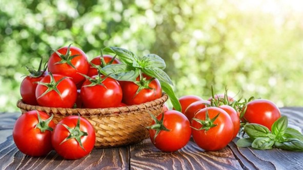 Ăn cà chua sống hay nấu chín sẽ tốt hơn?
