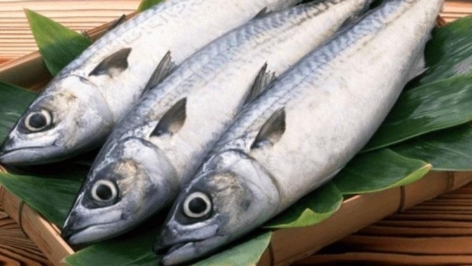 Tại sao ăn thịt cá thu giúp phòng chống một số bệnh về tim mạch?