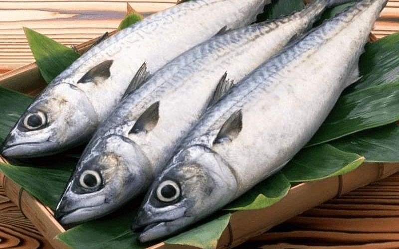 Tại sao ăn thịt cá thu giúp phòng chống một số bệnh về tim mạch?