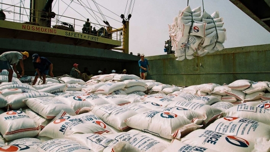 Giá gạo xuất khẩu bất ngờ giảm mạnh