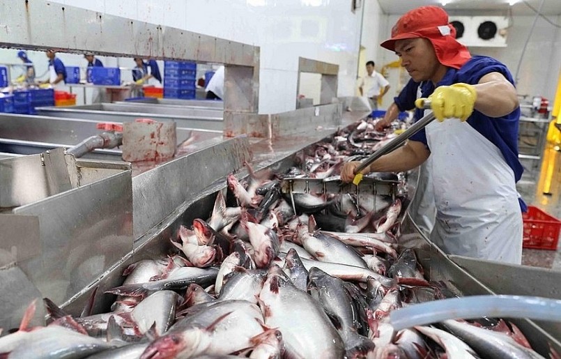 Xuất khẩu cá ngừ, cua ghẹ bứt phá mạnh mẽ