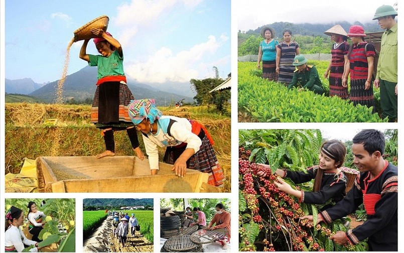 Xây dựng cơ sở dữ liệu về giám sát, đánh giá các chương trình mục tiêu quốc gia
