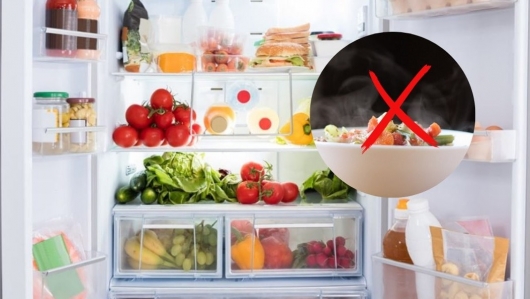 Tác hại khôn lường khi để thức ăn nóng vào tủ lạnh