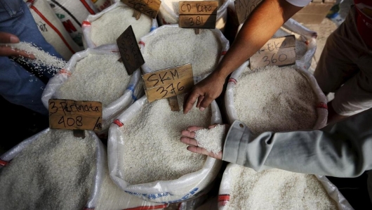 Điều gì sẽ xảy ra nếu Ấn Độ gỡ bỏ lệnh cấm xuất khẩu gạo?