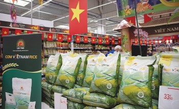 Giá xuất khẩu tiến gần mốc 1.000 USD, tại sao gạo Việt Nam vẫn “vô danh”?