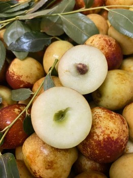 Gợi ý thực đơn trái cây hàng tuần cho cơ thể khỏe mạnh