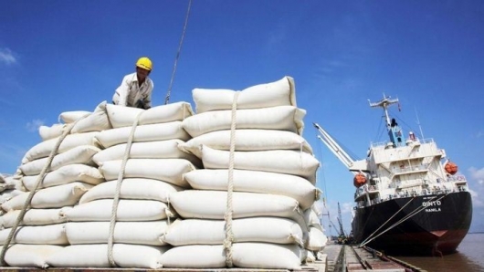 Là "cường quốc" xuất khẩu gạo, vì sao Việt Nam vẫn chi hàng trăm triệu USD nhập khẩu mặt hàng này?