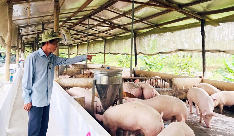 Nhập khẩu ồ ạt sản phẩm chăn nuôi sẽ làm mất cơ hội và động lực đầu tư của doanh nghiệp, người chăn nuôi.