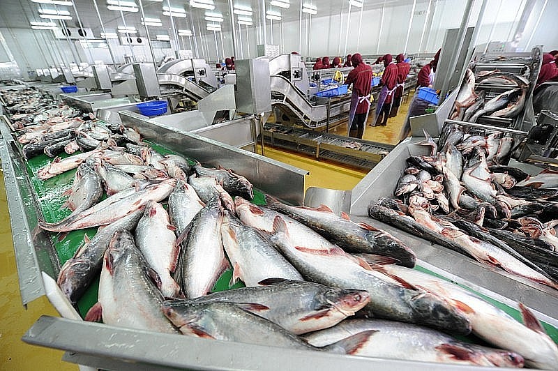 Cách nào để gia tăng kim ngạch xuất khẩu cá tra sang thị trường UAE?