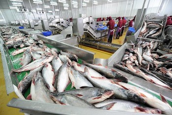 Cách nào để gia tăng kim ngạch xuất khẩu cá tra sang thị trường UAE?