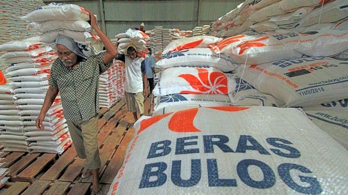 Bulog hiện tăng cường thu mua gạo trên thị trường nội địa lẫn nh