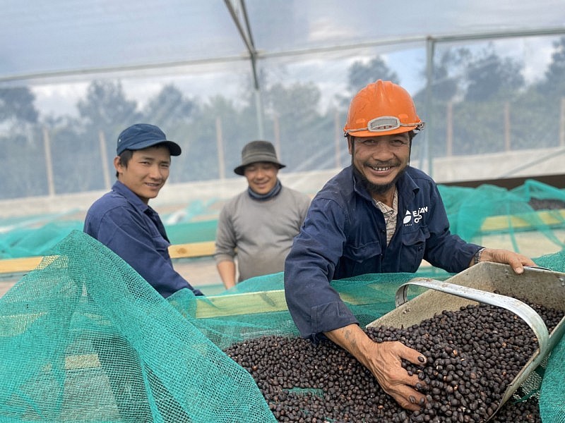 6 tháng đầu năm, Việt Nam đã xuất khẩu 902.000 tấn cà phê.
