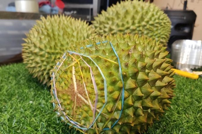 Sầu riêng Musang King có giá siêu rẻ.