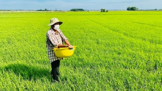 Đất nông nghiệp bỏ hoang bao lâu sẽ bị Nhà nước thu hồi?