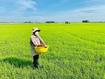 Đất nông nghiệp bỏ hoang bao lâu sẽ bị Nhà nước thu hồi?