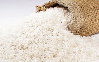 Giá gạo Việt Nam trở lại đỉnh sau 6 tháng mất “ngôi vương”