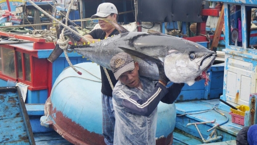 Cơ hội cuối để gỡ "thẻ vàng" khai thác thuỷ sản