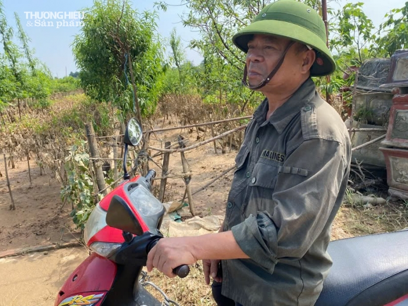 Vườn đào Nhật Tân tan tác sau lũ, người nông dân "đứt từng khúc ruột"